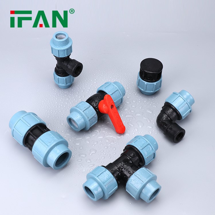 IFAN PP601 10